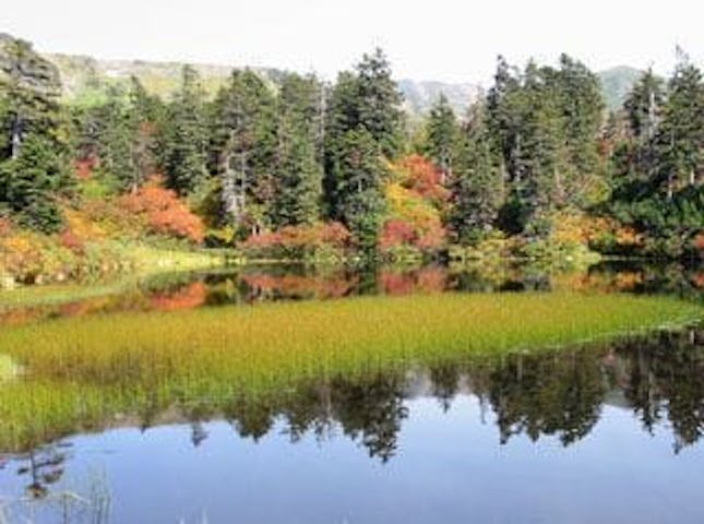 【2022年】大雪山（高原温泉）の紅葉