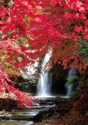 【2022年】月待の滝の紅葉