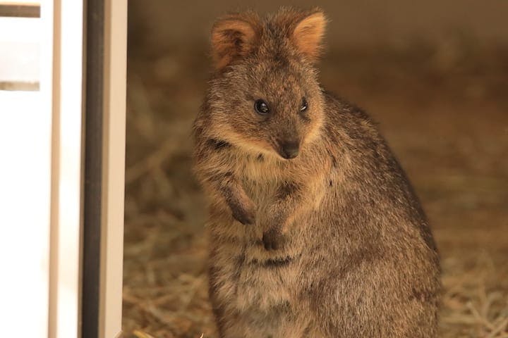 埼玉県こども動物自然公園