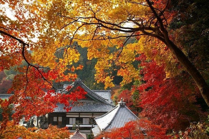 【2022年】柳谷観音　楊谷寺の紅葉