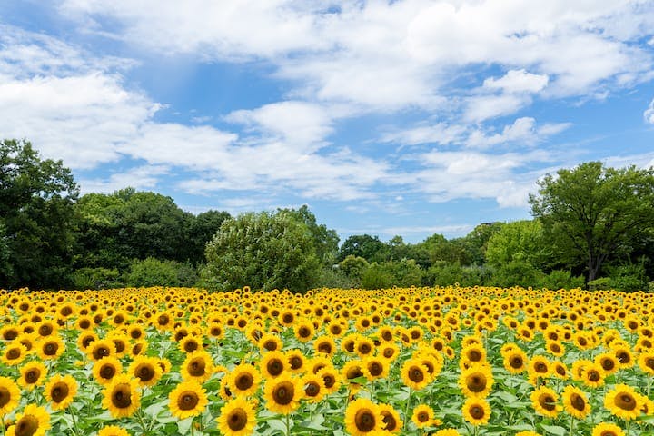 大阪市立長居植物園