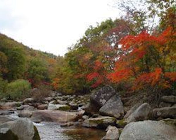 【2022年】重湍渓の紅葉