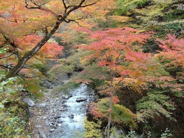 【2022年】中津峡の紅葉