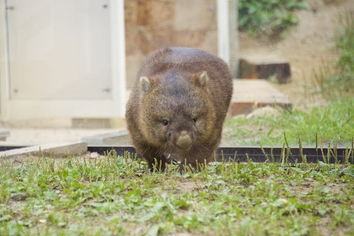 五月山動物園