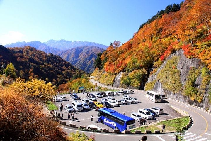 【2022年】白山白川郷ホワイトロード（栂の木台駐車場：標高1,400m付近）の紅葉