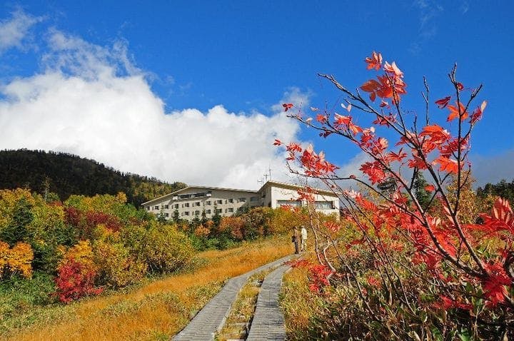 【2022年】立山（弥陀ヶ原：標高2,000m付近）の紅葉