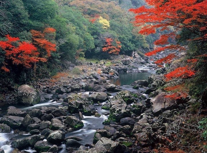 スポットの写真