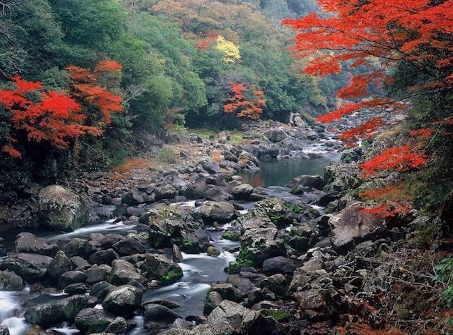 長門峡の紅葉