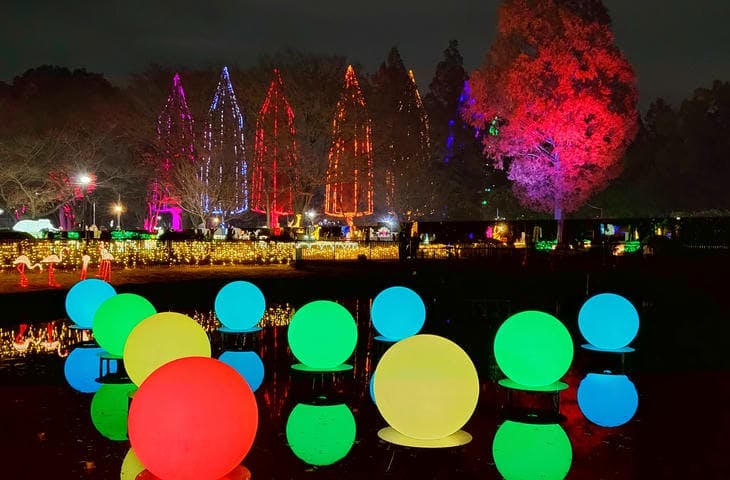 光の祭典2025【アソビュー！】