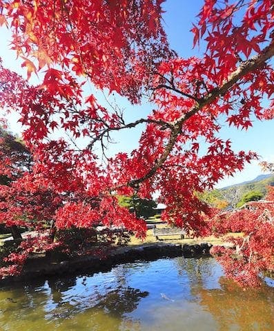 【2022年】西渓公園の紅葉