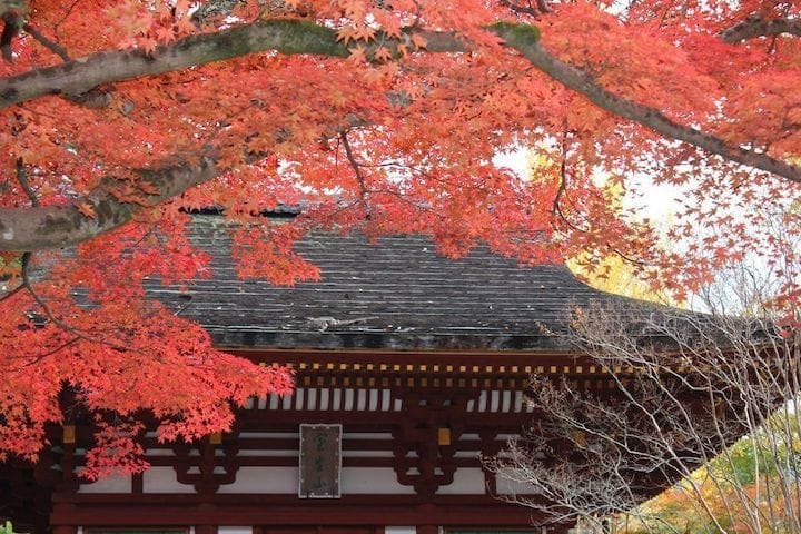 【2022年】室生寺の紅葉