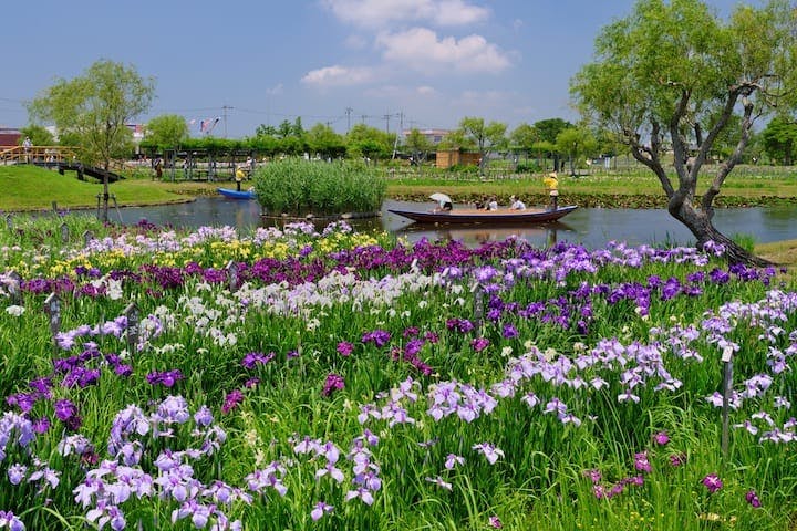 水郷佐原あやめパーク（旧：水郷佐原水生植物園）