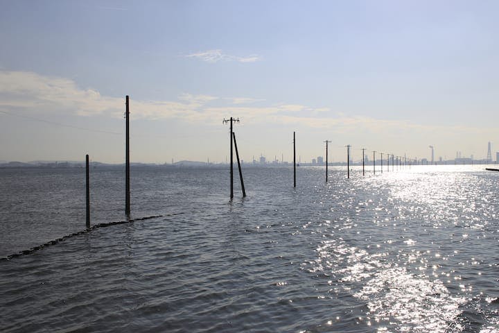 江川海岸潮干狩場
