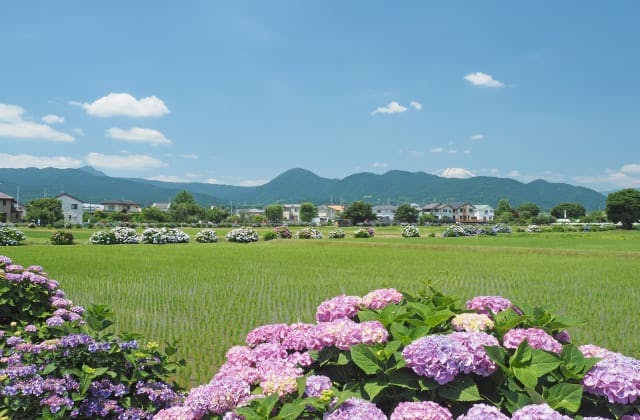 スポットの写真