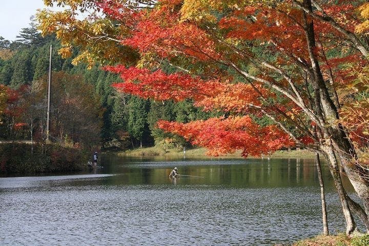 【2022年】段戸裏谷原生林　きららの森の紅葉