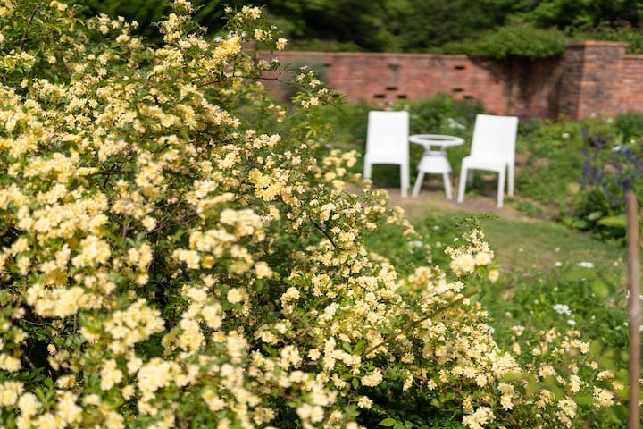 ドリプレ・ローズガーデン