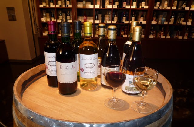 スポットの写真