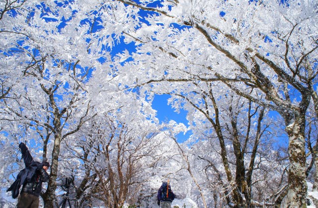 スポットの写真