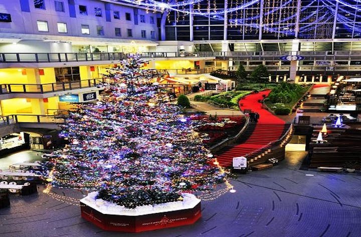 19 サッポロファクトリー クリスマスイルミネーション アソビュー 19 サッポロファクトリー クリスマスイルミネーション アソビュー