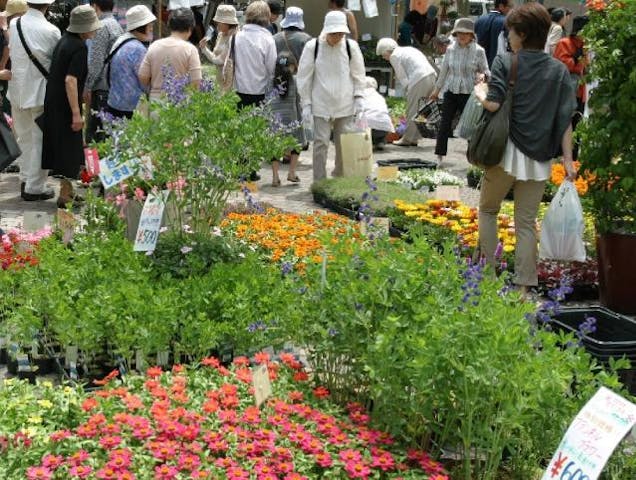 花フェスタ2021札幌