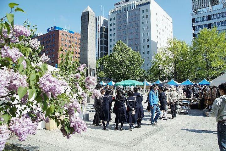 第63回さっぽろライラックまつり