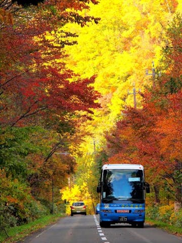 紅葉かっぱバス