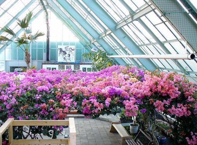 函館市熱帯植物園