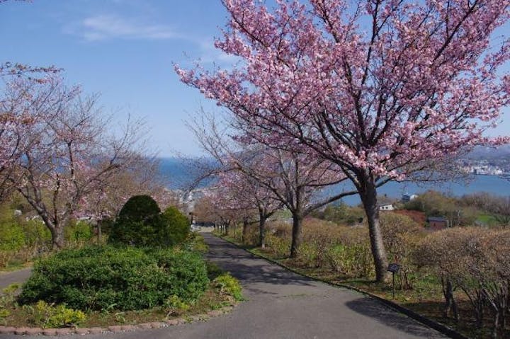 手宮緑化植物園