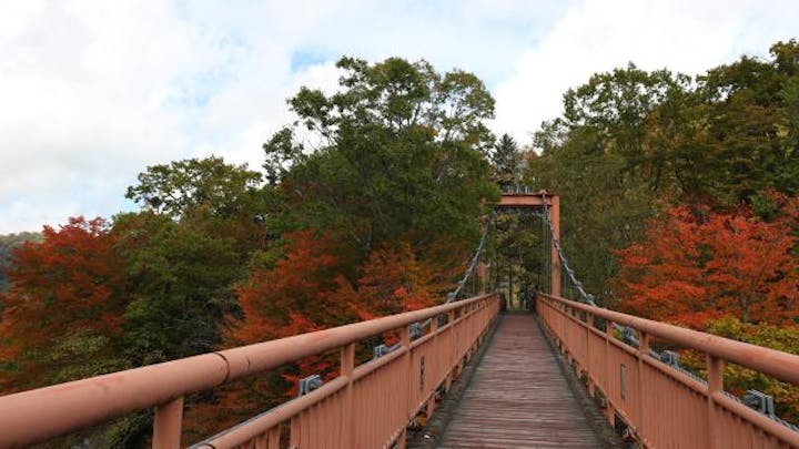 紅葉ウォーキングin夕張