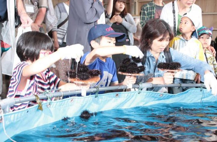 うまいよ！るもい市（開催未定）