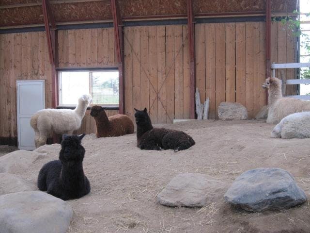 トンデンファームアースドリーム角山農場