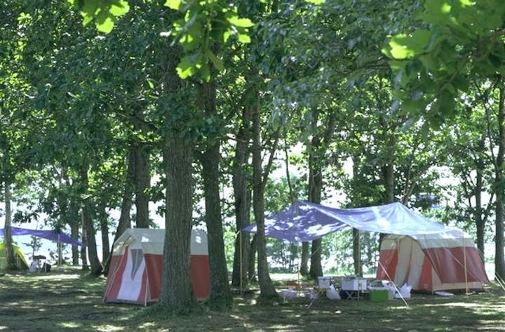 コムケ国際キャンプ場