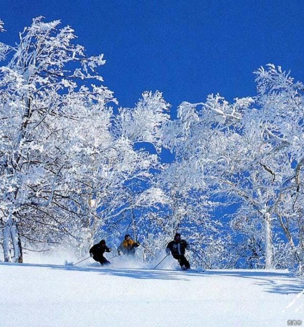 スポットの写真