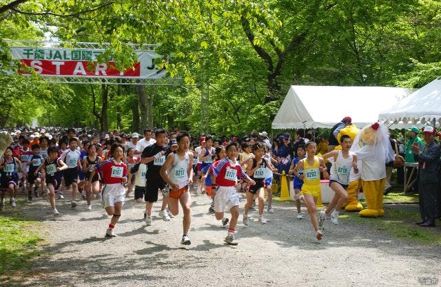 スポットの写真