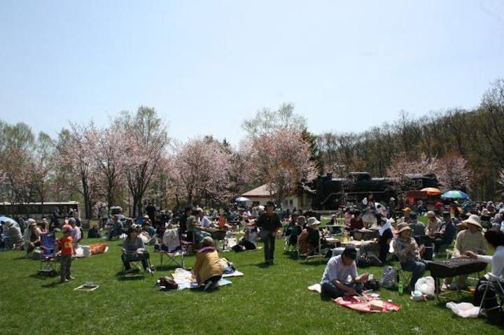 【2021年中止】市民桜まつり