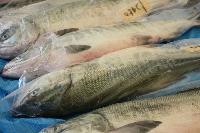 スポットの写真