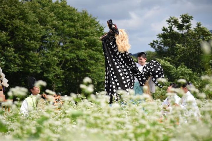千軒そばの花観賞会