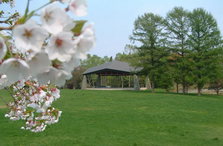 八郎沼公園 アソビュー