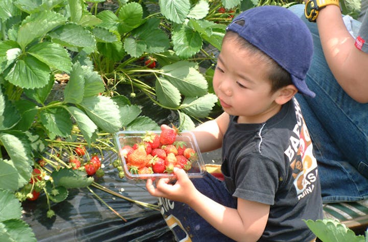 オガワ観光農園