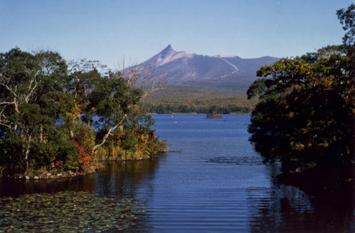 大沼漁業協同組合