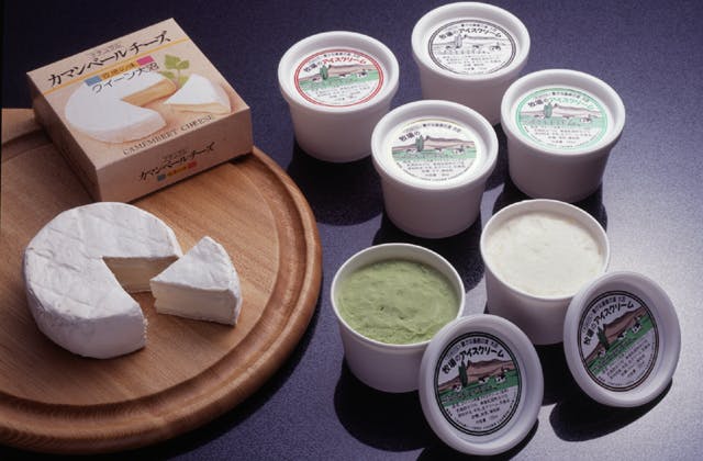 スポットの写真