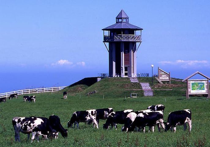 八雲町育成牧場展望台