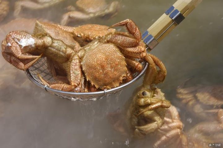 おしゃまんべ毛がにまつり