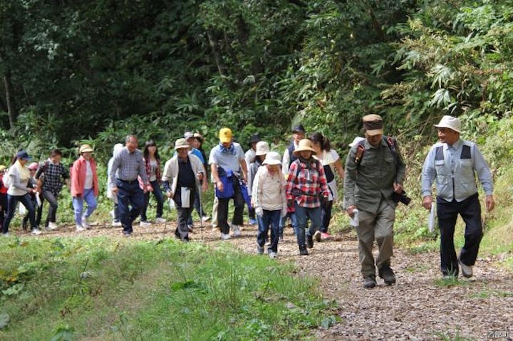 【2021年中止】縁桂森林フェスティバル