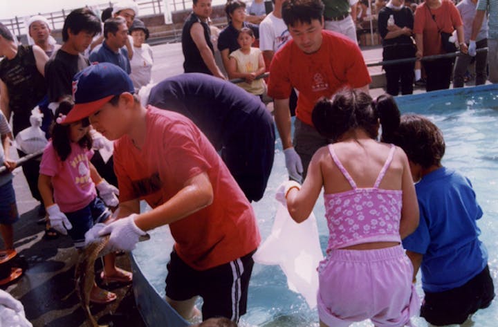 がっぱり海の幸フェスタｉｎわっためがして大成