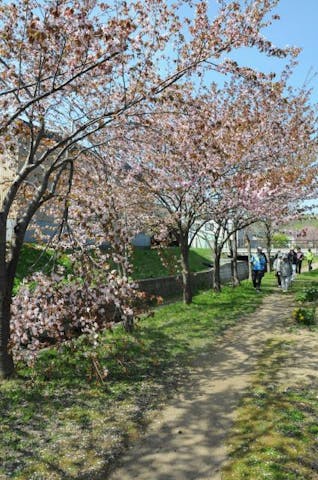 フットパス　寺の沢川コース