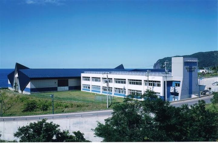 泊村アイスセンター　とまリンク