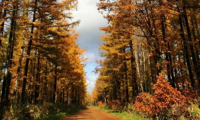 スポットの写真