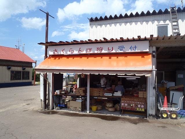 スポットの写真