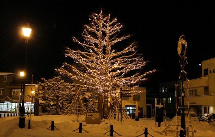 余市ゆき物語　琥珀色の夢